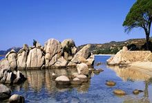 运动员们卓越表现，为球队赢得胜利